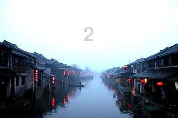 土狗的记忆力有多长时间-一个全面的问答类网站